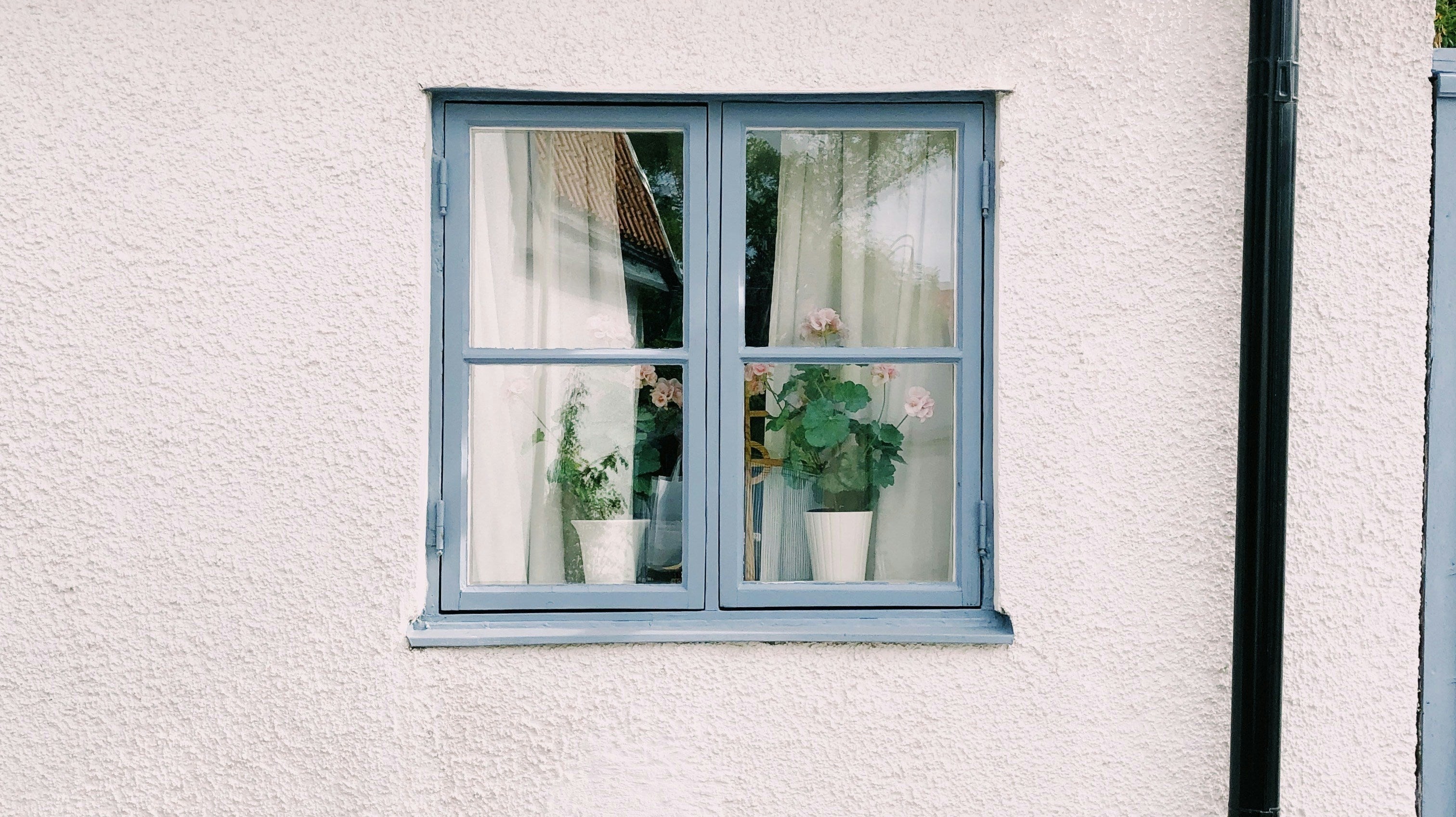How to Find Vacation Homes Without Mold