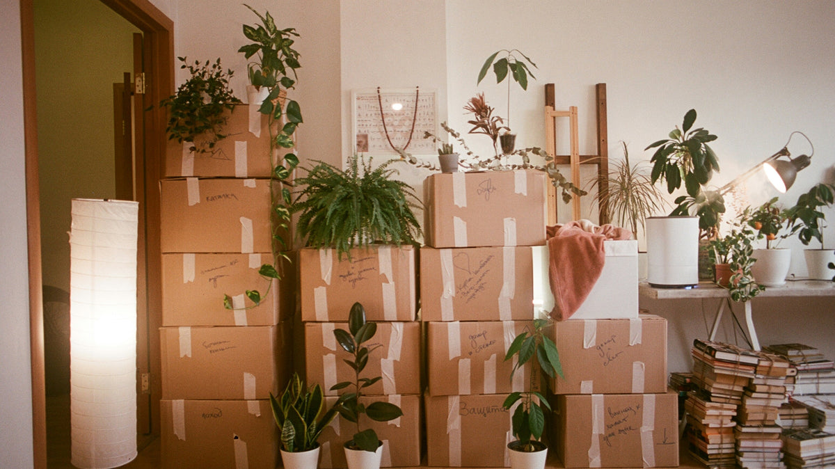 Sustainable Essentials for Moving