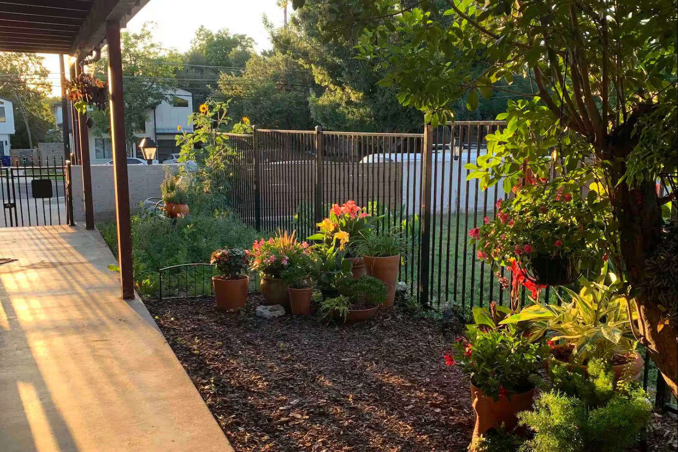 Non-toxic Austin condo garden