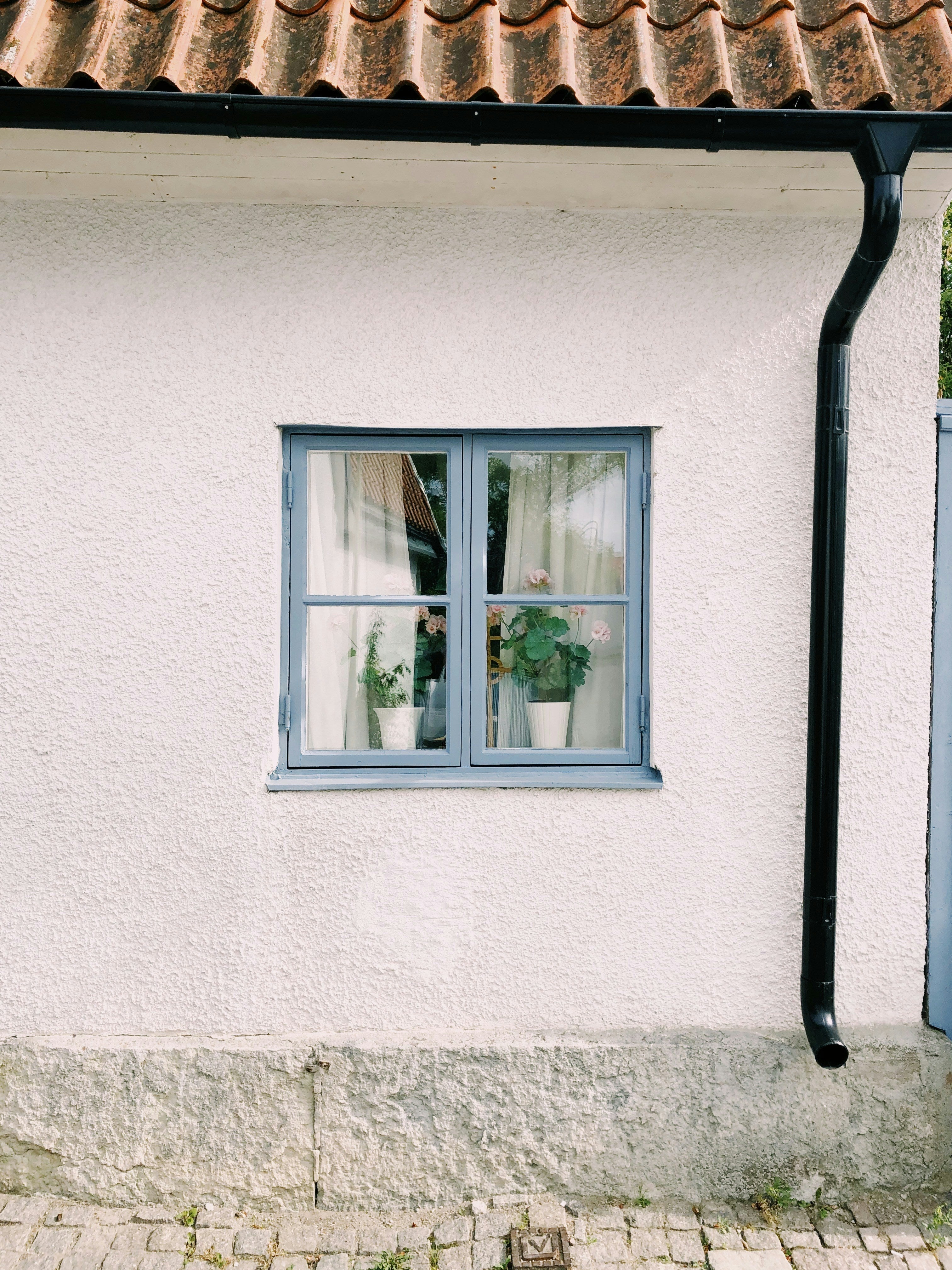 How to Find Vacation Homes Without Mold