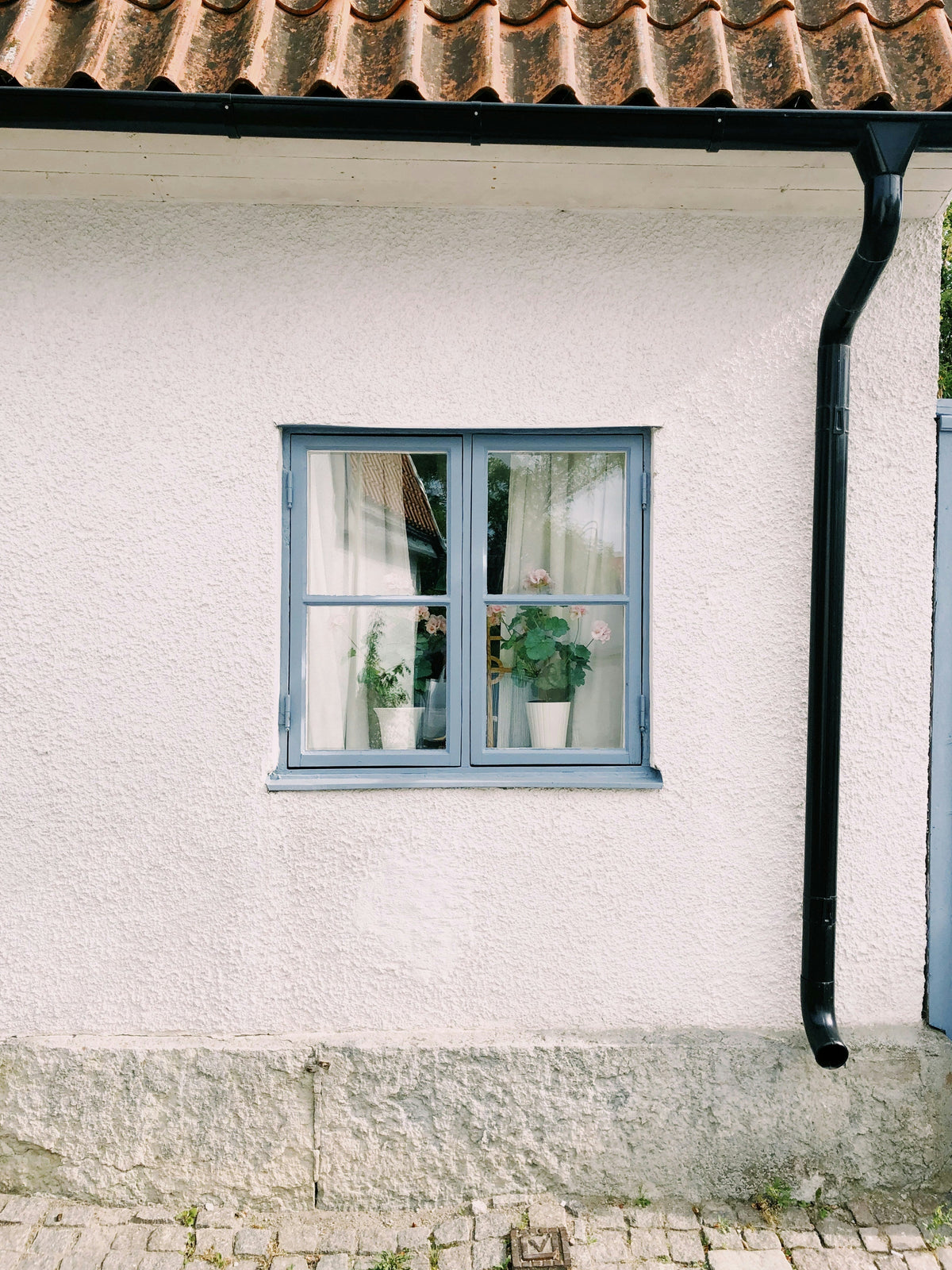 How to Find Vacation Homes Without Mold