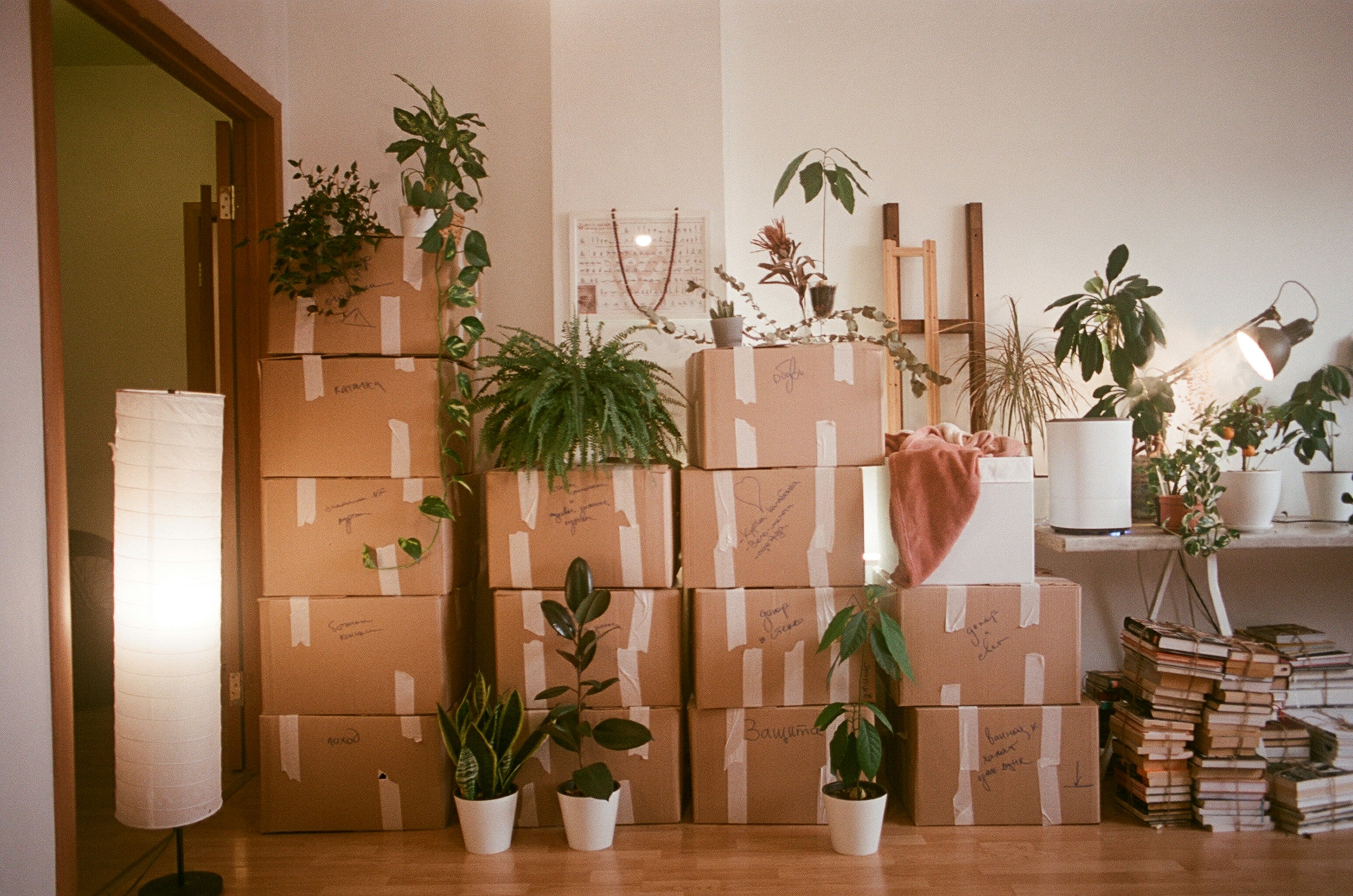 Sustainable Essentials for Moving