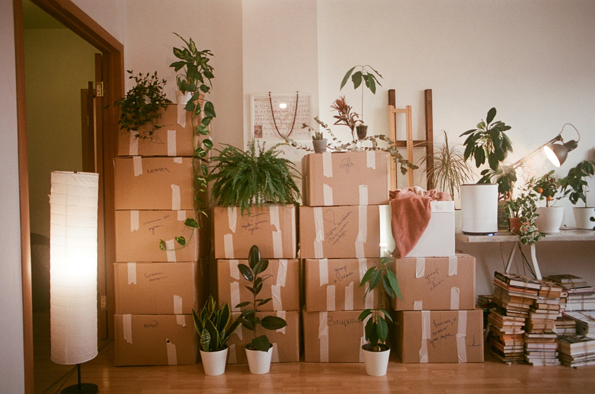 Sustainable Essentials for Moving