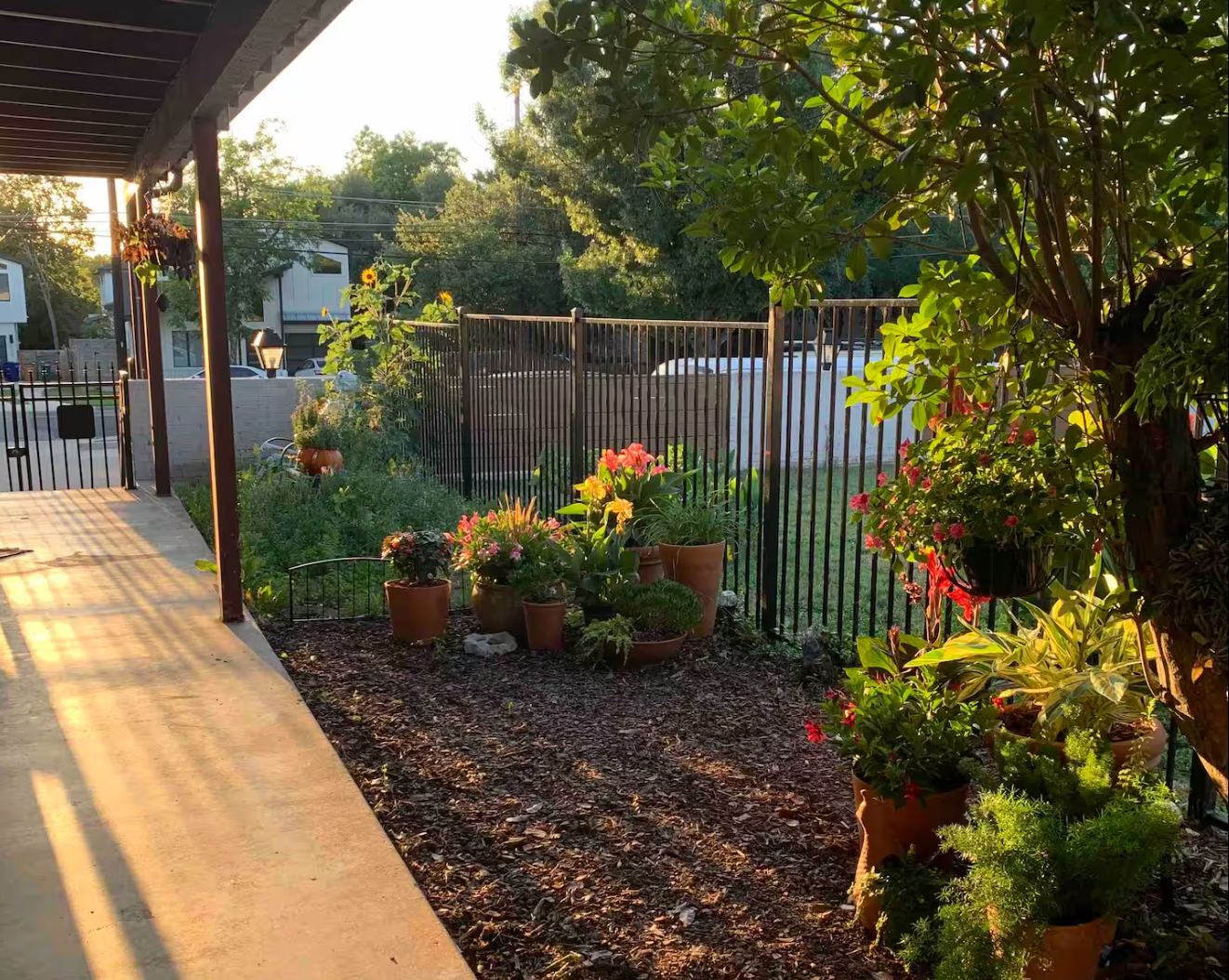 Non-toxic Austin condo garden