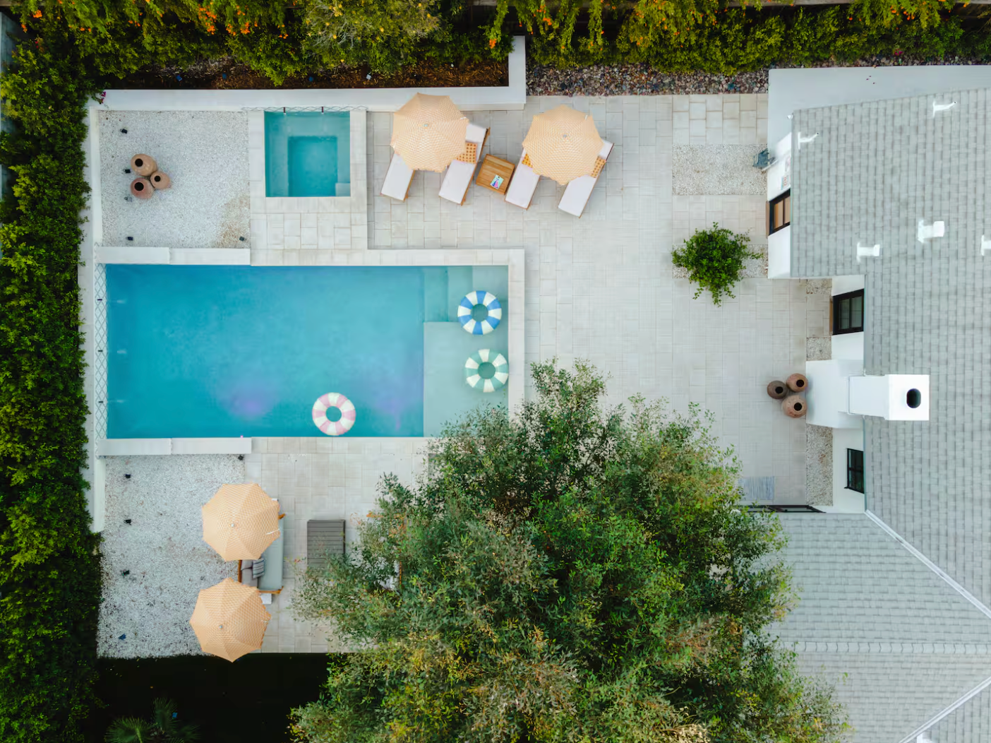 Non-toxic vacation rental palm springs yard