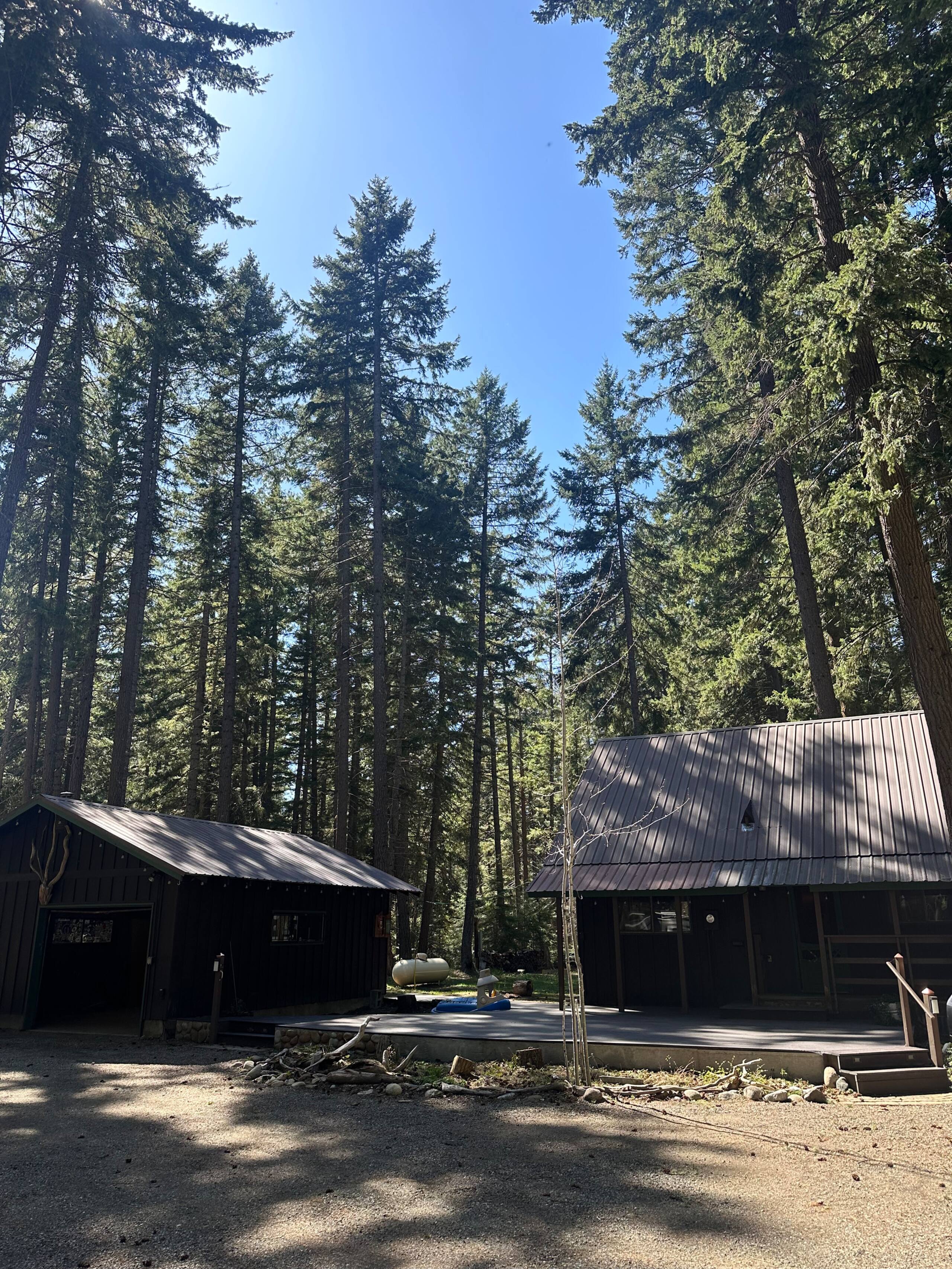 Non-toxic vacation rental washington yard