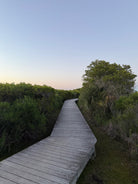 Non-toxic Seabrook Island rental property boardwalk hiking