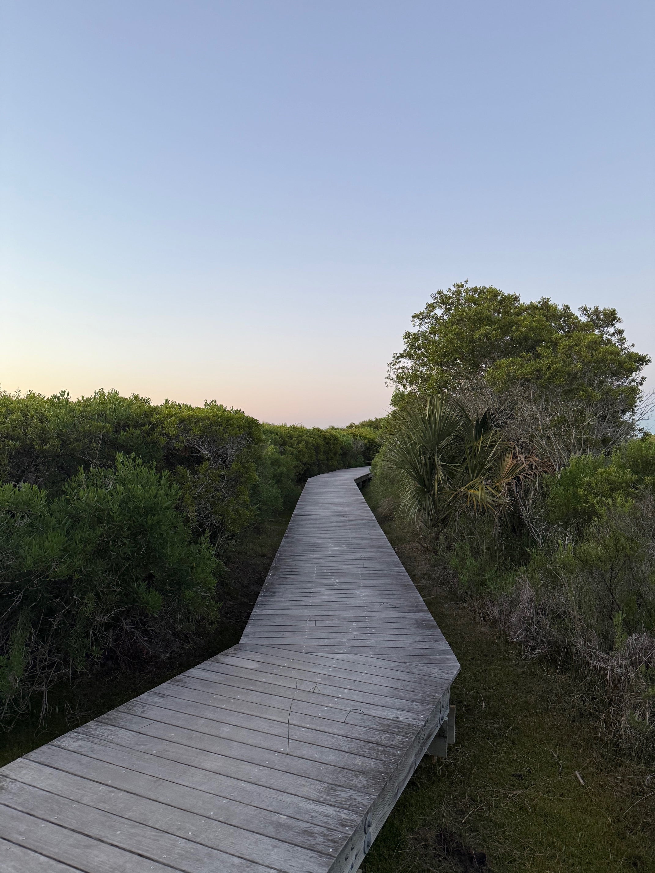 Non-toxic Seabrook Island rental property boardwalk hiking